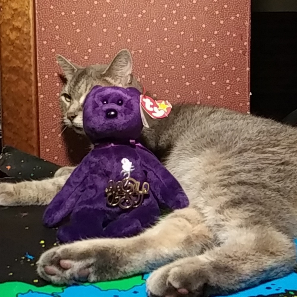 Princess Diana Beanie Baby with Gold Pin